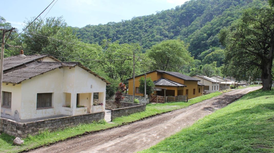 Imagen de galería 1