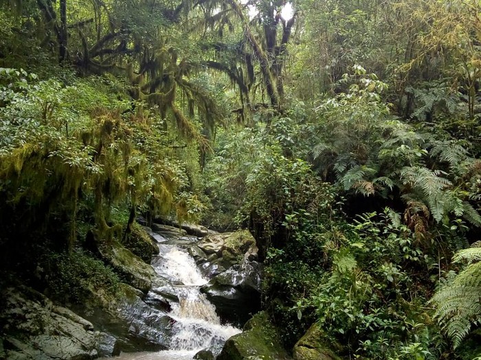 Cascadas de Huaicondo en Villa Nougués