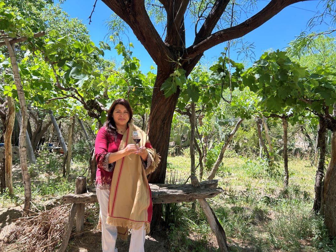 Imagen de galería 1