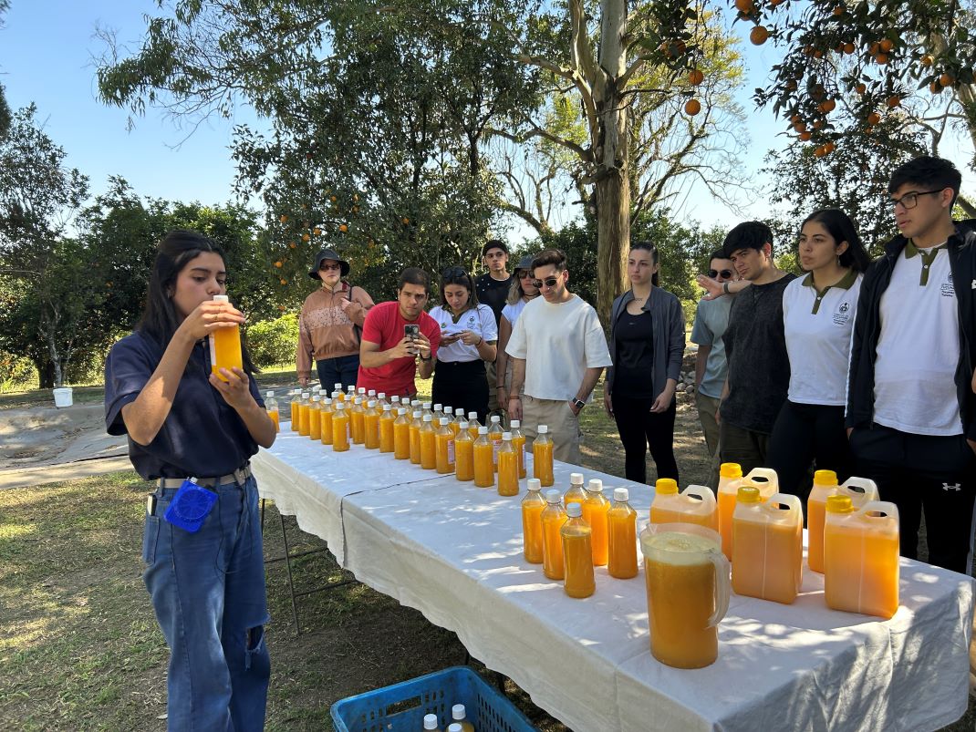 Imagen de galería 1