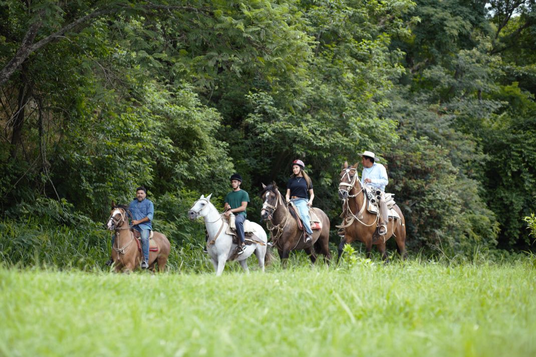 Imagen de galería 1