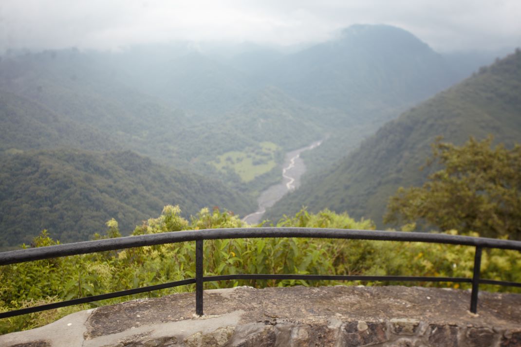 Imagen de galería 1