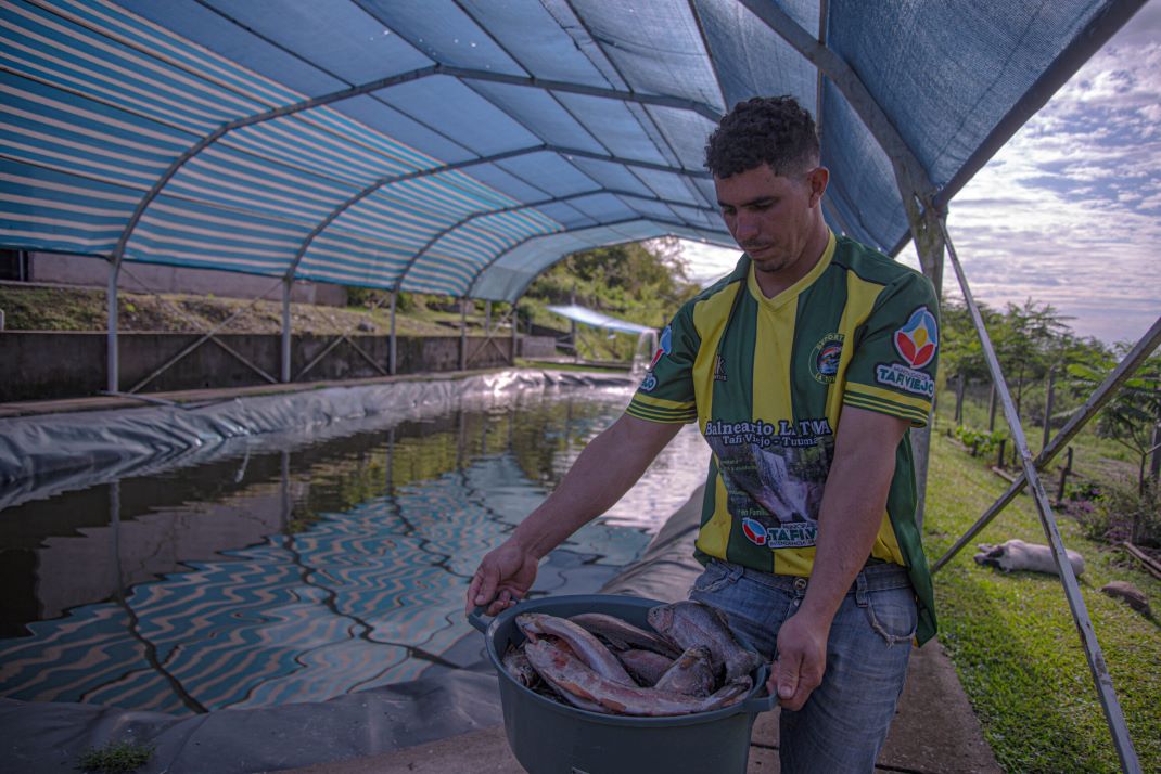 Imagen de galería 1