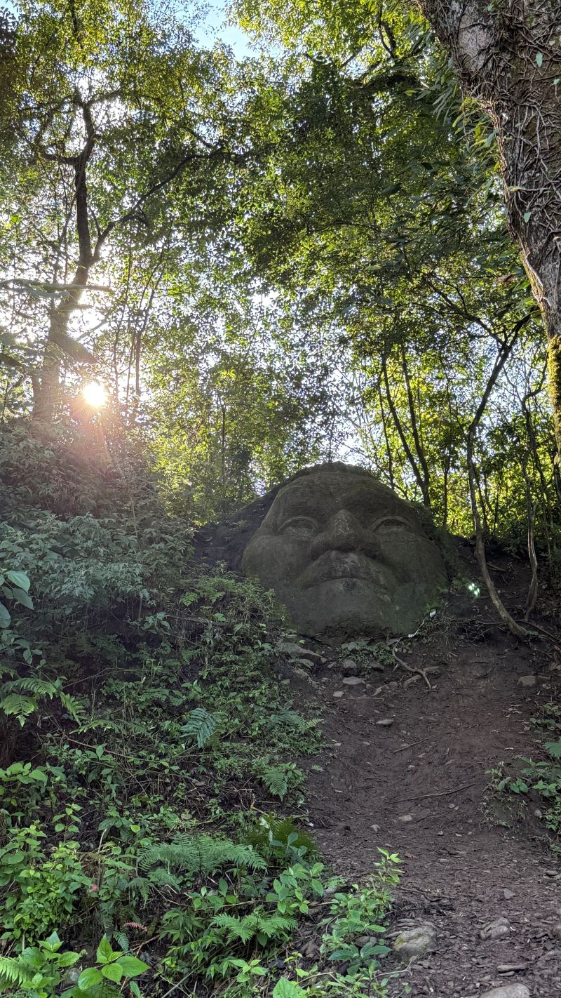 Imagen de galería 1