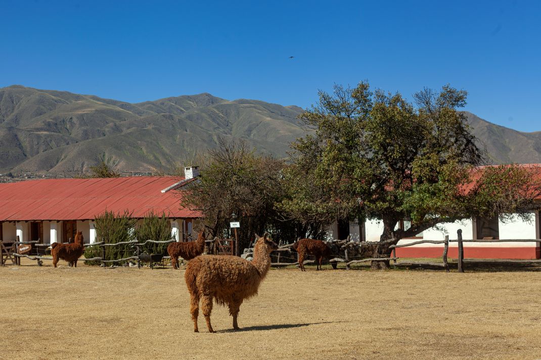 Tafí del Valle, la joya tucumana que compite como mejor pueblo turístico del mundo