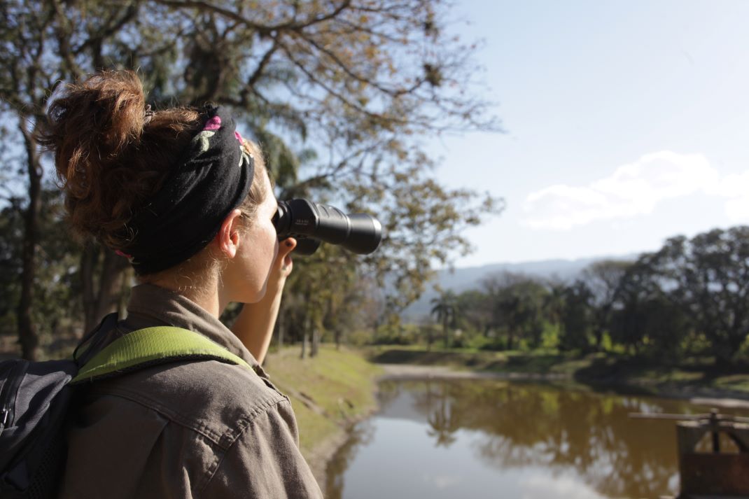 Imagen de galería 1