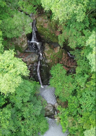 Imagen de galería 1