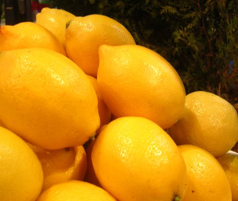 Imagen de galería 1