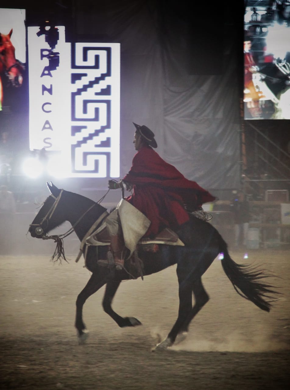 Fiesta Nacional e Internacional del Caballo