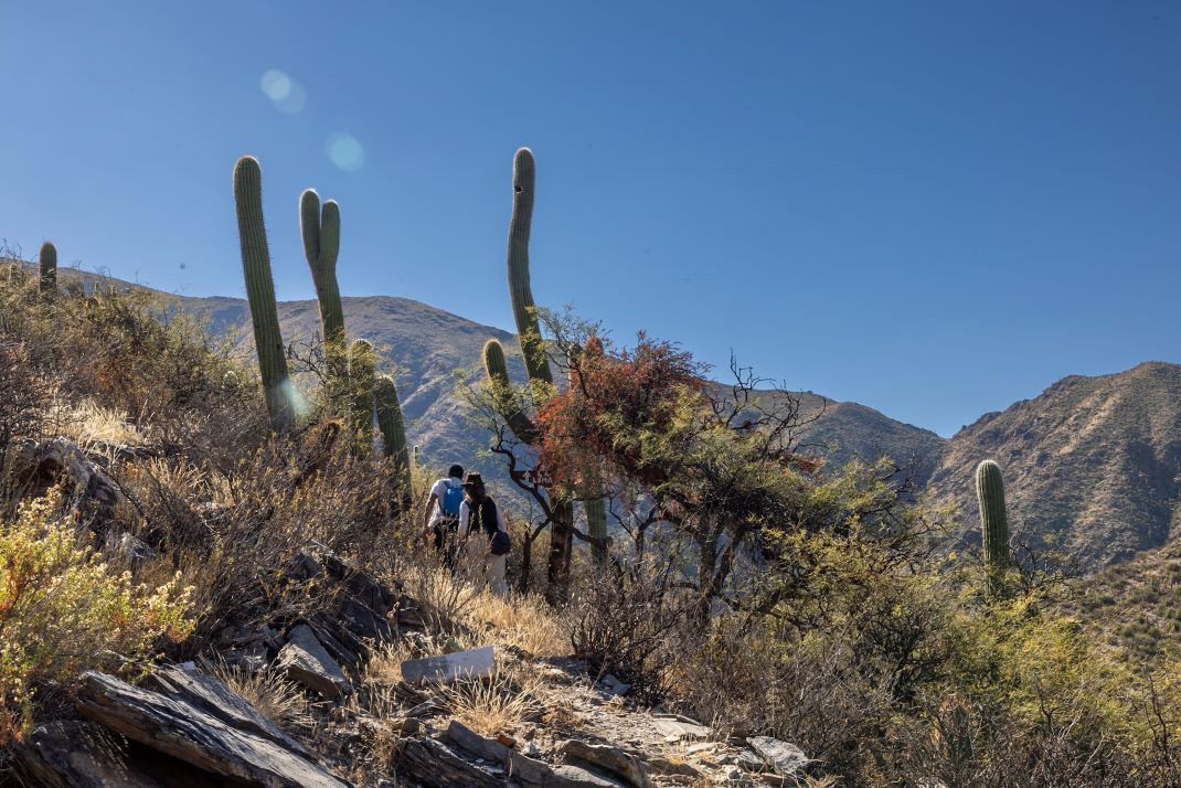 Sendero La Loma - Talapazo - Experiencia Valle Calchaquí