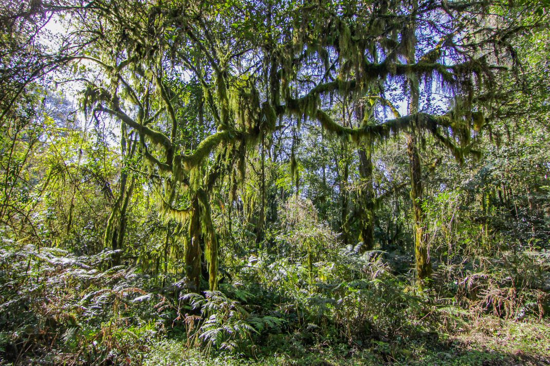Parque Provincial Los Ñuñorcos y Reserva Natural Quebrada del Portugués