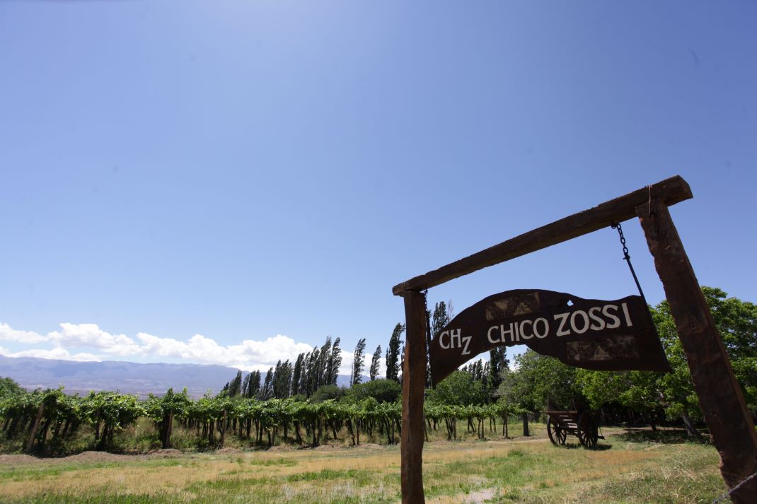 Bodega Chico Zossi