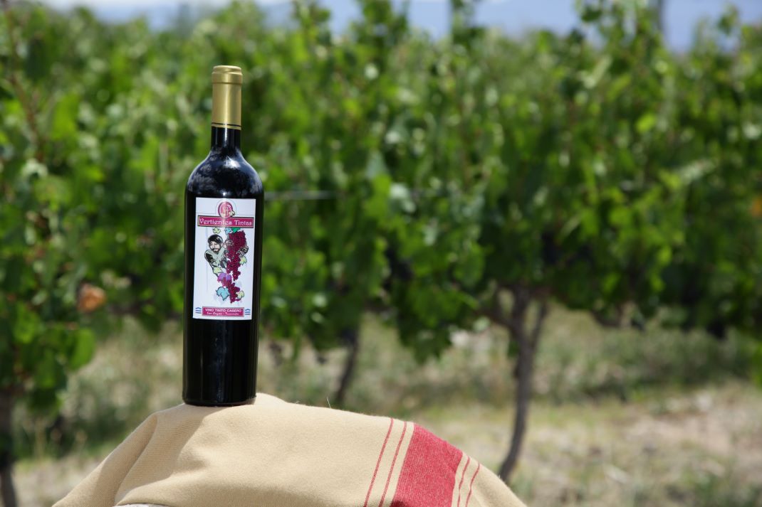 Bodega Vertientes Tintas