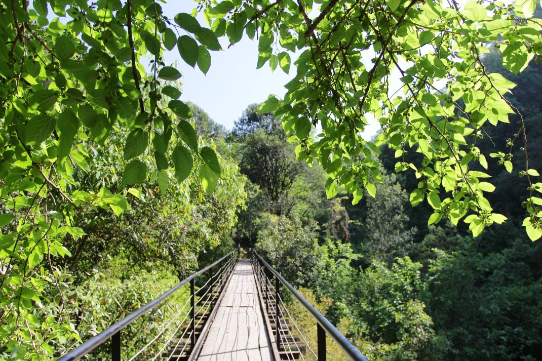 El Funicular - Experiencia Yunga Tucumana