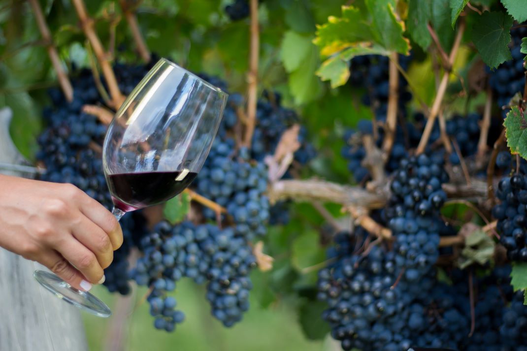 Bodega Comunitaria Los Amaichas