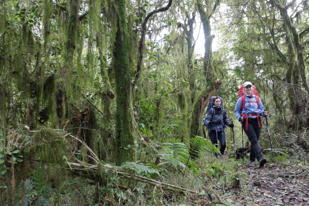 Sendero Laguna del Tesoro - Portal Cochuna