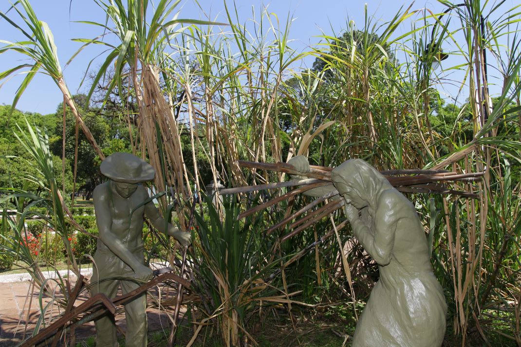 Fiesta Nacional de la Caña de Azúcar