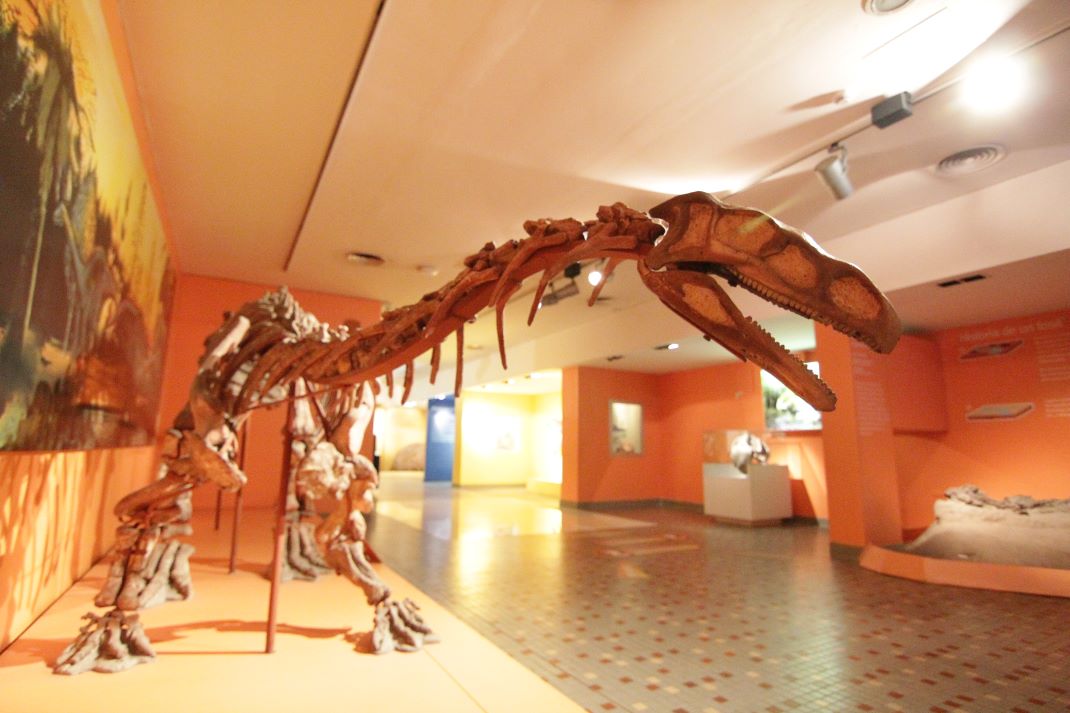 Museo de Ciencias Naturales