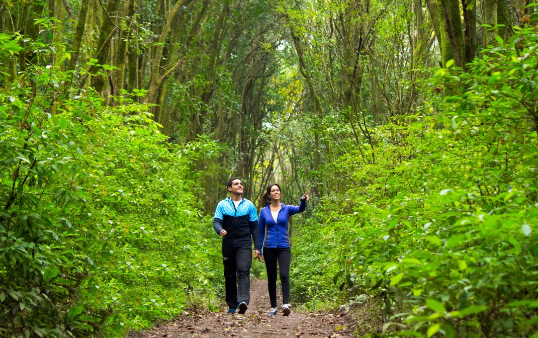 Sendero Antiguas Minas - Talapazo - Experiencia Valle Calchaquí