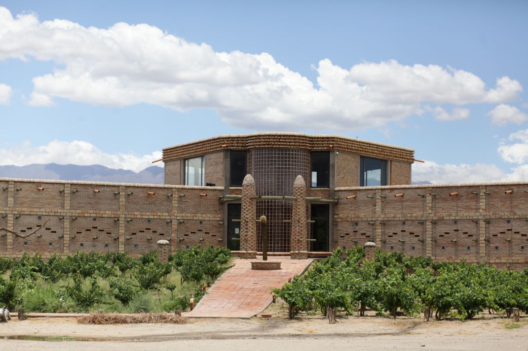 Bodega y Viñedos Las Arcas de Tolombón