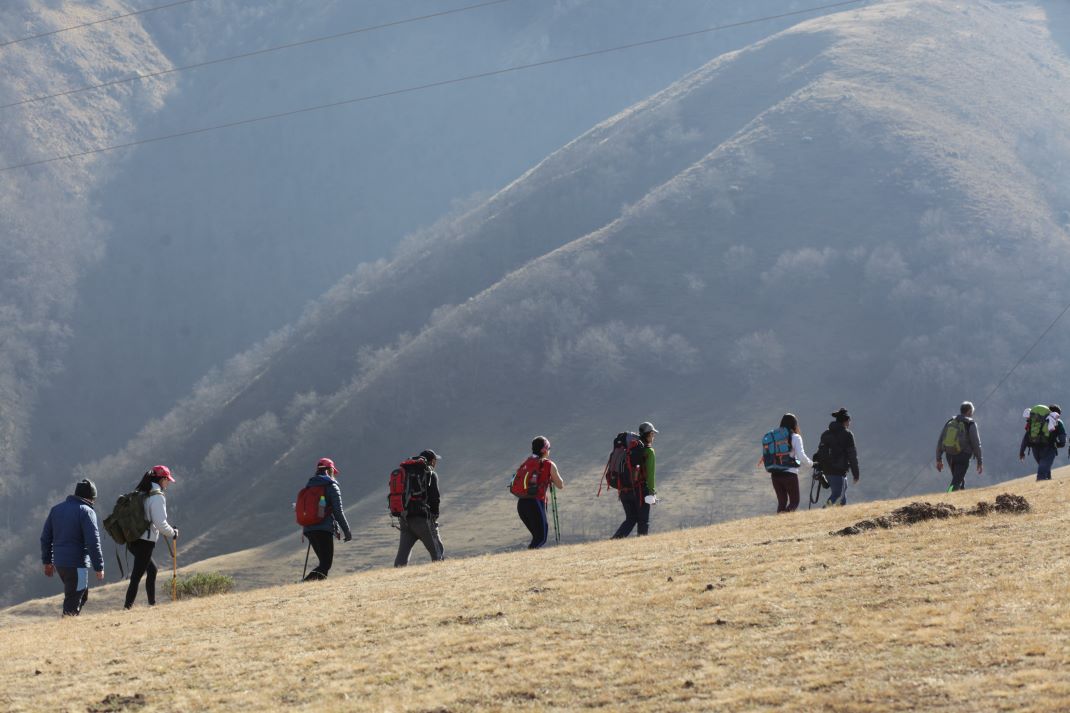 Imagen de galería 1